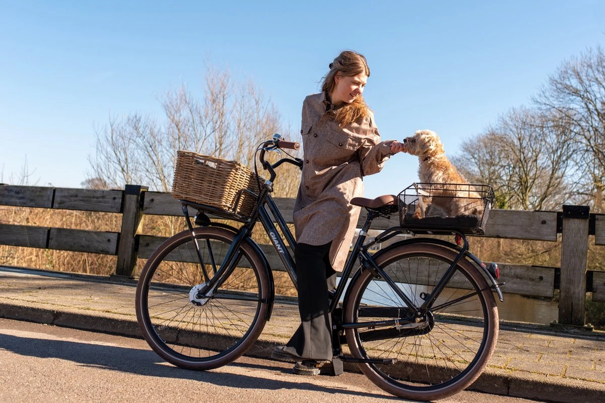 Fastrider Olav Fietsmand Voor Achterdrager - Inclusief Bevestiging - 25 Liter - Metaal - Zwart 9 Fastrider Olav Fietsmand Voor Achterdrager - Inclusief Bevestiging - 25 Liter - Metaal - Zwart - Afbeelding 9