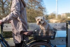 Fastrider Olav Fietsmand Voor Achterdrager - Inclusief Bevestiging - 25 Liter - Metaal - Zwart 19 Fastrider Olav Fietsmand Voor Achterdrager - Inclusief Bevestiging - 25 Liter - Metaal - Zwart -Fietsuitrustings Winkel 1200x800 127