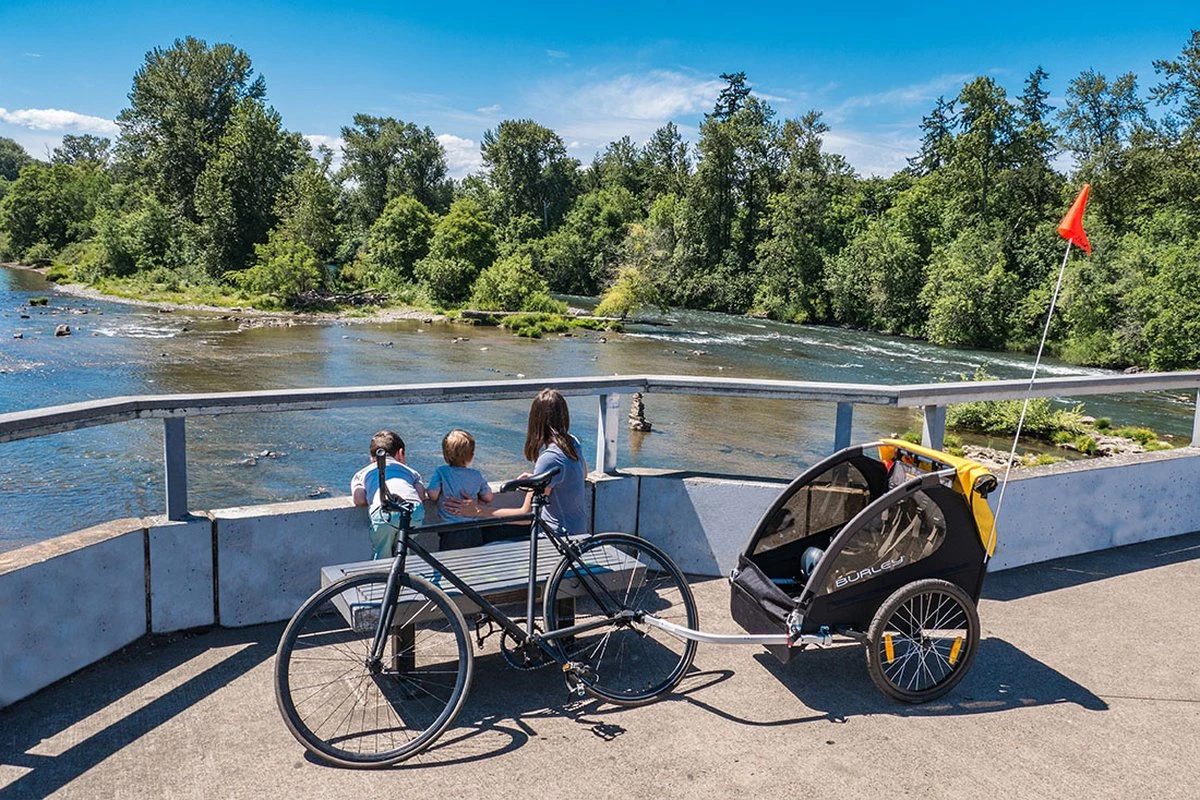 Burley Bee Double Kinderfietskar - Twee Kinderen 11 Burley Bee Double Kinderfietskar - Twee Kinderen - Afbeelding 11