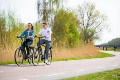Amigo E-Vibe D1 - Elektrische Stadsfiets Voor Heren - Met 7 Versnellingen - Matgrijs 9 Amigo E-Vibe D1 - Elektrische Stadsfiets Voor Heren - Met 7 Versnellingen - Matgrijs -Fietsuitrustings Winkel 1200x800 208