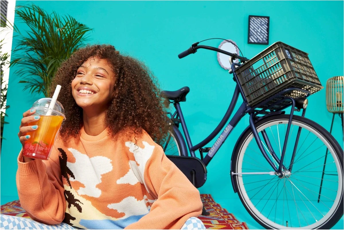 Cortina Fietskrat San Francisco - AVS-dragers - Zwart - 33 L 3 Cortina Fietskrat San Francisco - AVS-dragers - Zwart - 33 L - Afbeelding 3