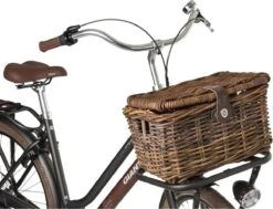 Fastrider Sera Rotan Fietsmand - Bruin - 17L - Handgemaakt - Met Klep 15 Fastrider Sera Rotan Fietsmand - Bruin - 17L - Handgemaakt - Met Klep -Fietsuitrustings Winkel 1200x916 2