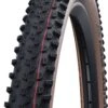 Schwalbe Buitenband Racing Ray 29 X 2.25 Inch (57-622) Zwart
