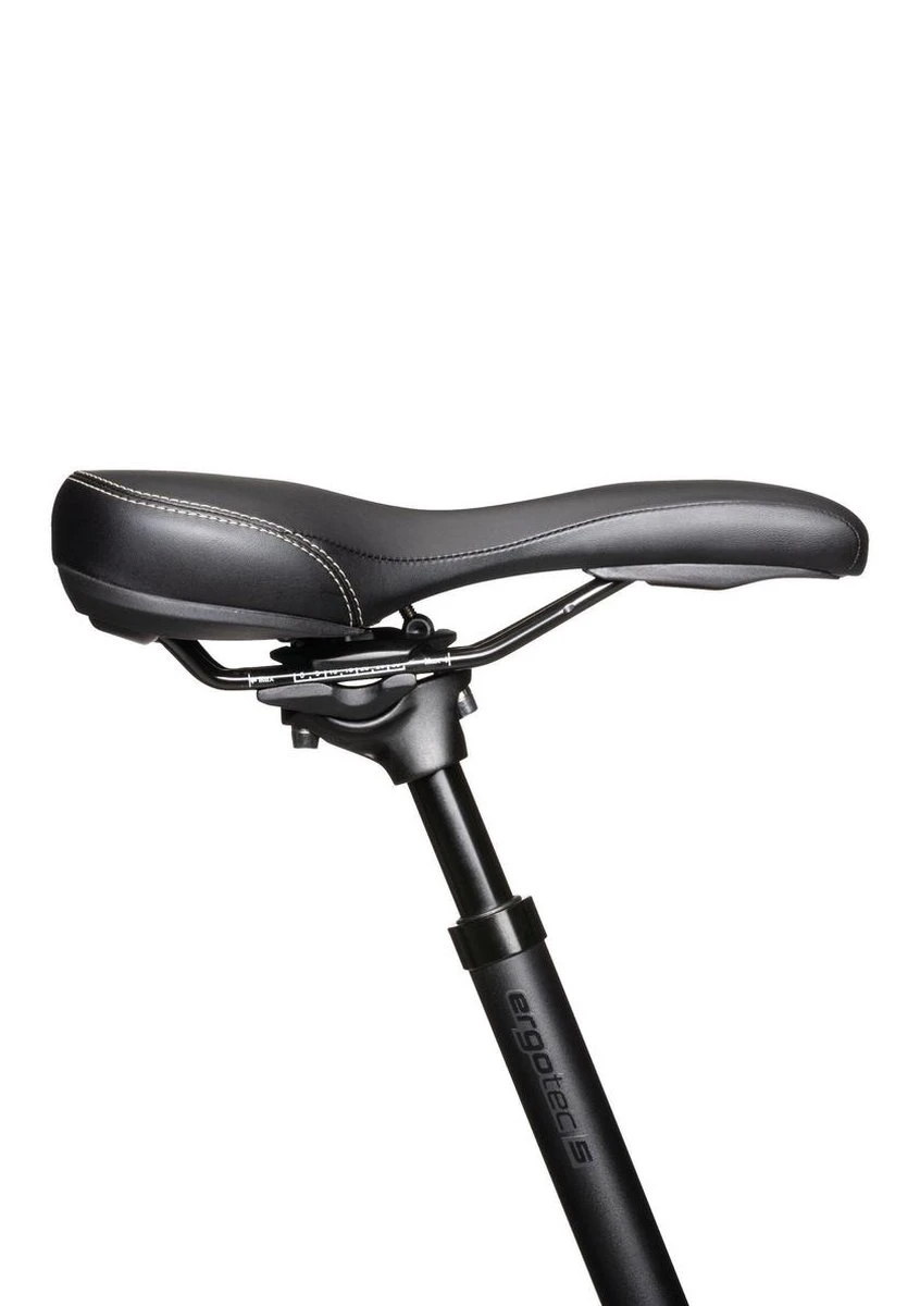 Ergotec Zadelpen Verend SP-10.0 ø27.2mm / 350mm 45/100 - 1 Ergotec Zadelpen Verend SP-10.0 ø27.2mm / 350mm 45/100 -