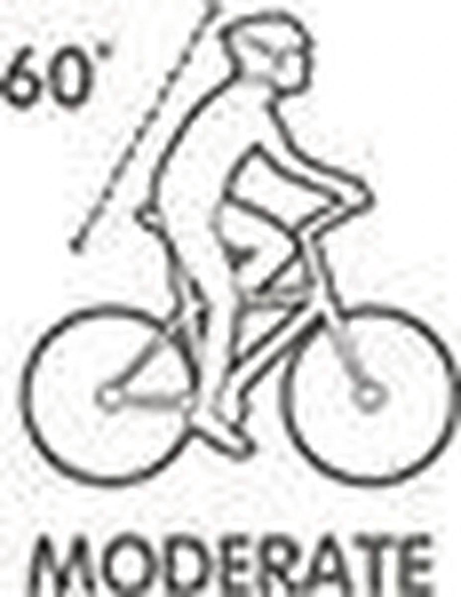 Selle Royal Avenue Moderate 8466 - Fietszadel - Gel - Zwart 17 Selle Royal Avenue Moderate 8466 - Fietszadel - Gel - Zwart - Afbeelding 17